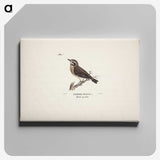 1-24_Magnus-von-Wright_canvas