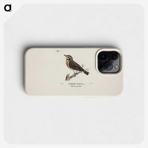 1-24_Magnus-von-Wright_phone