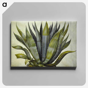 1-24_Maria-Sibylla-Merian_canvas