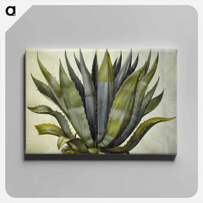アートパネル-Agave americana
 - マリア ジビーラ メーリアン Canvas.