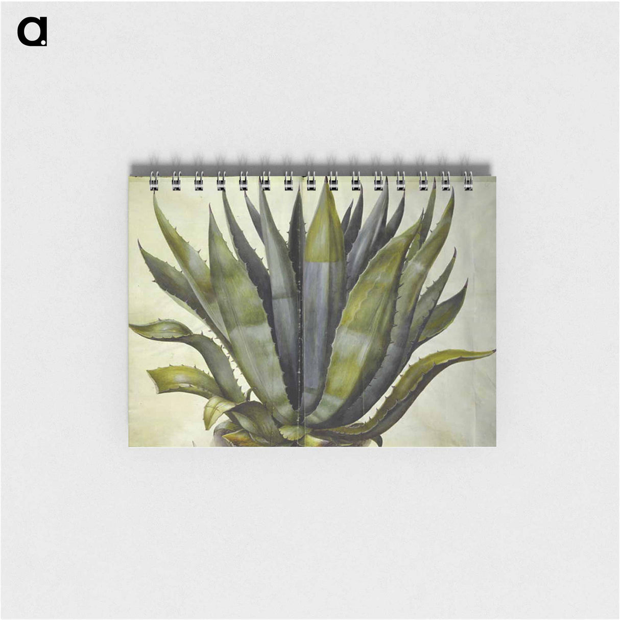 アートメモ帳-Agave americana
 - マリア ジビーラ メーリアン Memo.