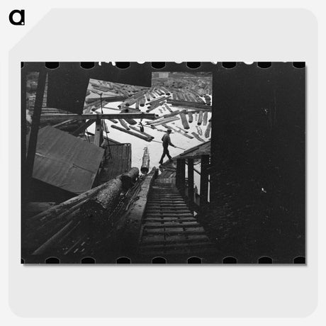 1-24_Marion-Post-Wolcott_picture-crop