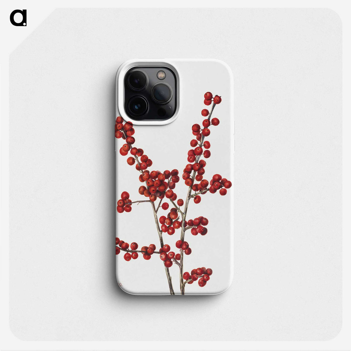 1-24_Mary-Vaux-Walcott_phone