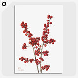1-24_Mary-Vaux-Walcott_picture-crop