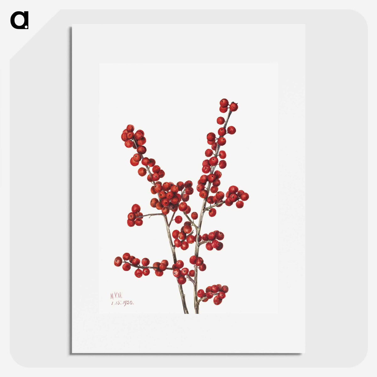 1-24_Mary-Vaux-Walcott_picture