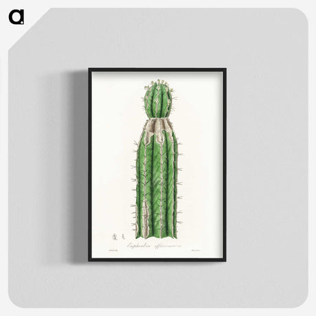 1-24_Medical-Botany_blk-crop
