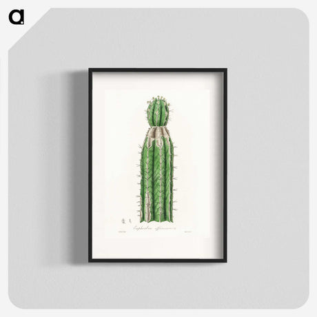 1-24_Medical-Botany_blk