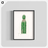 アートポスター-Euphorbia officinarum, from Medical Botany
 - 薬用植物学 Poster.
