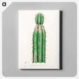 アートパネル-Euphorbia officinarum, from Medical Botany
 - 薬用植物学 Canvas.