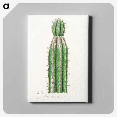 1-24_Medical-Botany_canvas