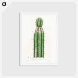 1-24_Medical-Botany_hagaki