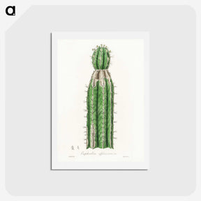 1-24_Medical-Botany_hagaki