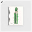 アートメモ帳-Euphorbia officinarum, from Medical Botany
 - 薬用植物学 Memo.