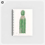 アートメモ帳-Euphorbia officinarum, from Medical Botany
 - 薬用植物学 Memo.