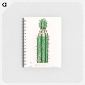 アートメモ帳-Euphorbia officinarum, from Medical Botany
 - 薬用植物学 Memo.