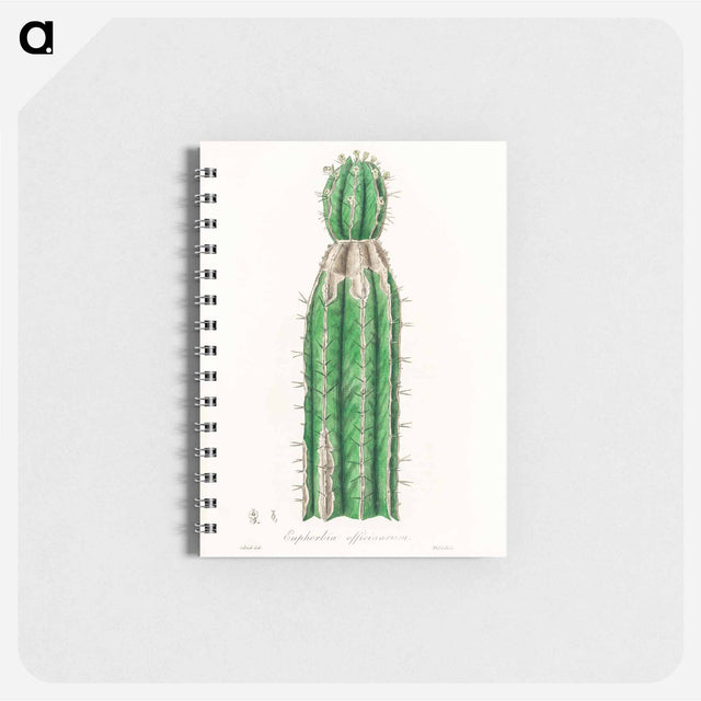 アートメモ帳-Euphorbia officinarum, from Medical Botany
 - 薬用植物学 Memo.