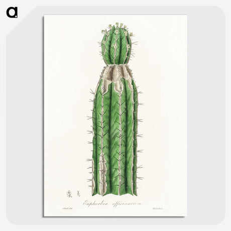 1-24_Medical-Botany_picture-crop