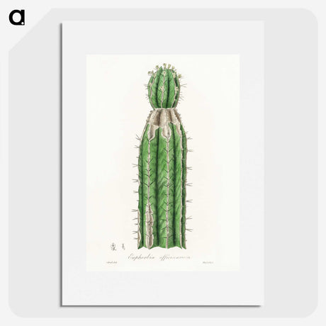 1-24_Medical-Botany_picture