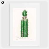 アートポスター-Euphorbia officinarum, from Medical Botany
 - 薬用植物学 Poster.
