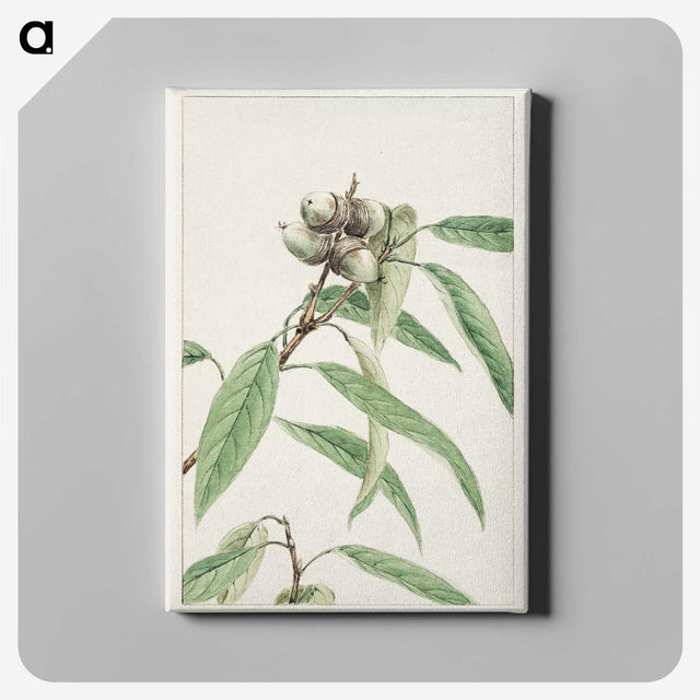 1-24_Megata-Morikaga_canvas