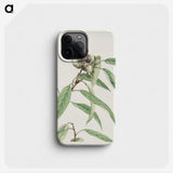 1-24_Megata-Morikaga_phone