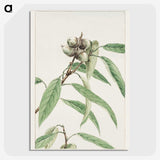 1-24_Megata-Morikaga_picture-crop