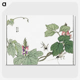 1-24_Morimoto-Tokaku_picture-crop