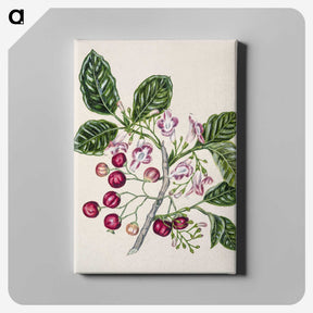 1-24_Native-Flowering-Plants-of-New-Zealand_canvas