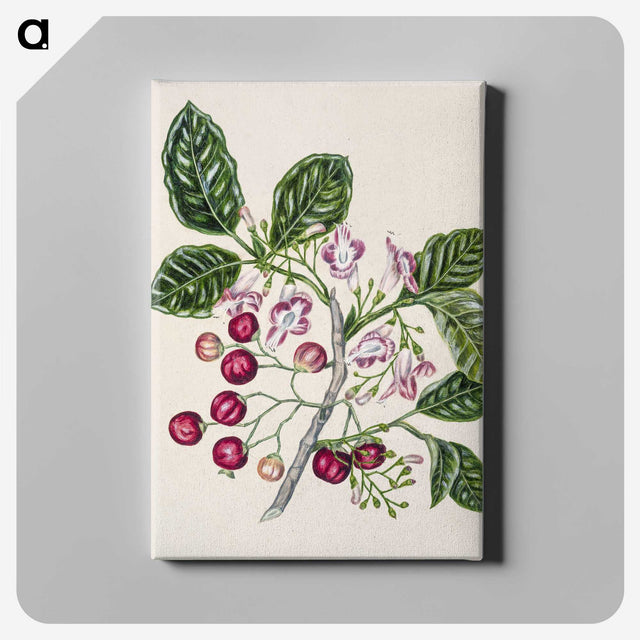 1-24_Native-Flowering-Plants-of-New-Zealand_canvas