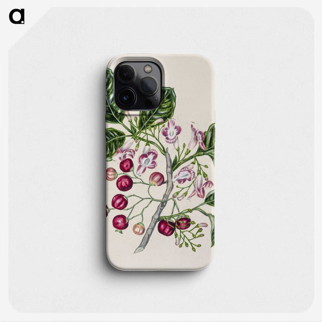 1-24_Native-Flowering-Plants-of-New-Zealand_phone