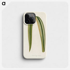 1-24_New-and-Rare-Beautiful-Leaved-Plants_phone