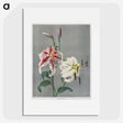 1-24_Ogawa-Kazumasa_picture