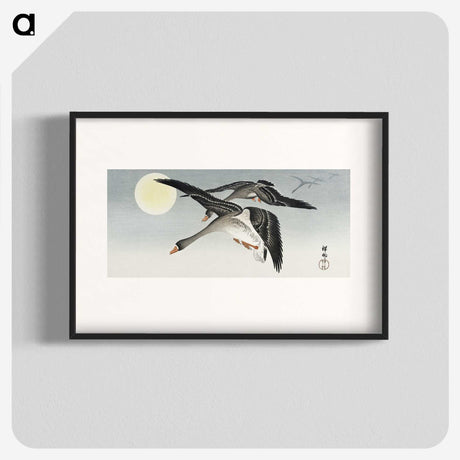 1-24_Ohara-Koson_blk