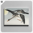 1-24_Ohara-Koson_canvas