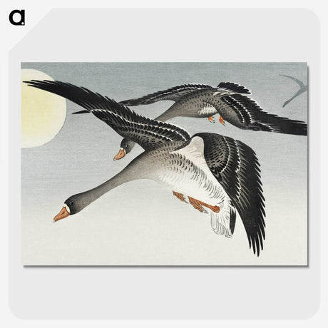 1-24_Ohara-Koson_picture-crop