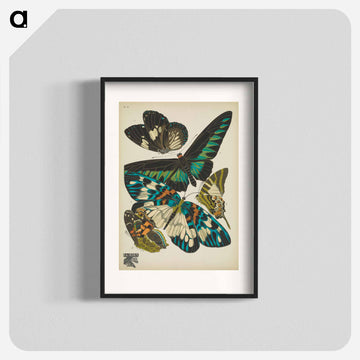 Vintage Butterflies
 - パピヨン Poster.