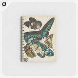 アートメモ帳-Vintage Butterflies
 - パピヨン Memo.