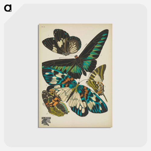 Vintage Butterflies
 - パピヨン Postcard.