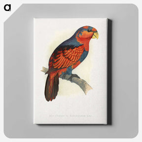 1-24_Parrots-in-Captivity_canvas