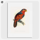 1-24_Parrots-in-Captivity_picture