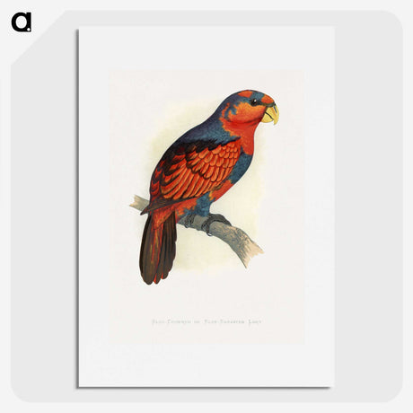 1-24_Parrots-in-Captivity_picture