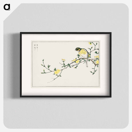 アートポスター-Japanese Bunting and Plum Tree
 - 鳥類図鑑 Poster.