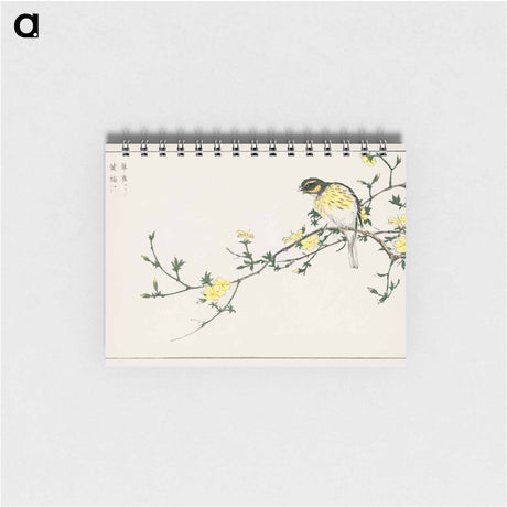 アートメモ帳-Japanese Bunting and Plum Tree
 - 鳥類図鑑 Memo.
