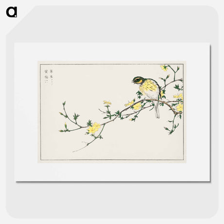 アートポスター-Japanese Bunting and Plum Tree
 - 鳥類図鑑 Poster.