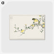 アートポストカード-Japanese Bunting and Plum Tree
 - 鳥類図鑑 Postcard.