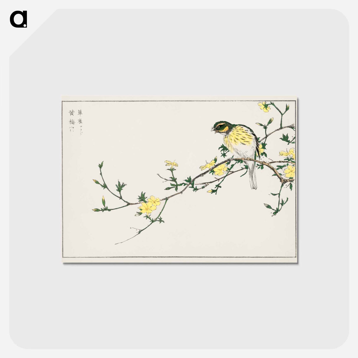 アートポストカード-Japanese Bunting and Plum Tree
 - 鳥類図鑑 Postcard.