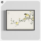1-24_Pictorial-Monograph-of-Birds_blk-crop
