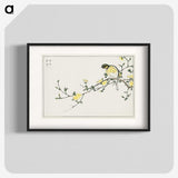 1-24_Pictorial-Monograph-of-Birds_blk