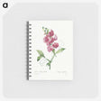 1-24_Pierre-Joseph-Redoute_memo