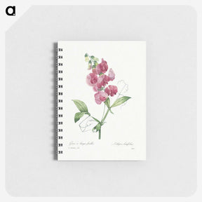 1-24_Pierre-Joseph-Redoute_memo